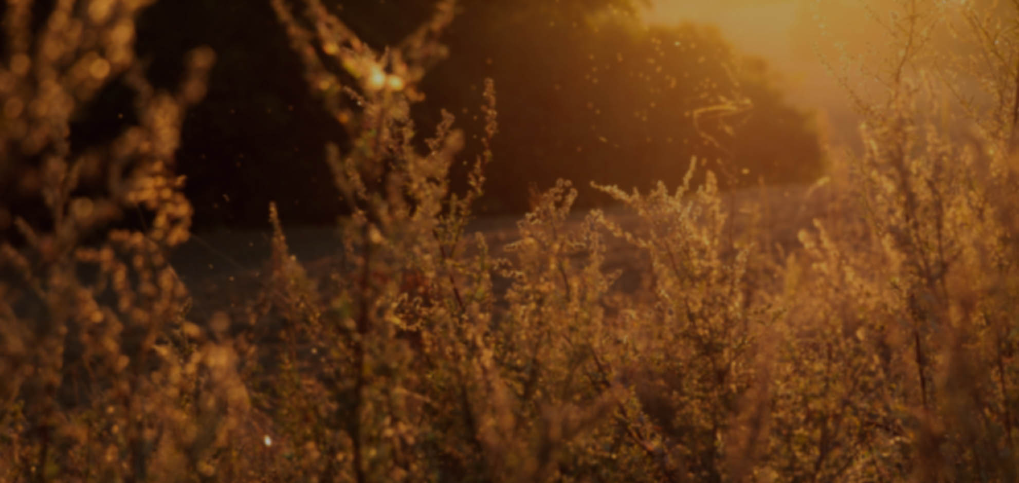 无限轰炸手机号码软件